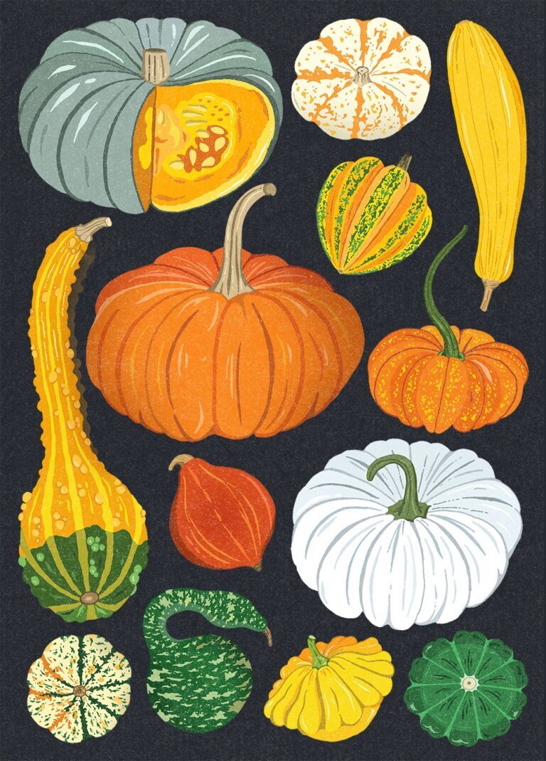 Pumpkin Harvest
