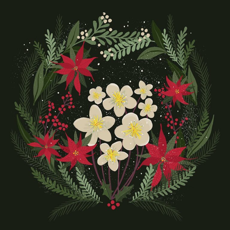 AGBI CHRISTMAS CARD PACK - Winter Flowers