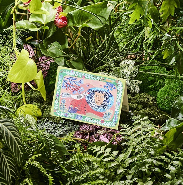 The Lion and The Bird