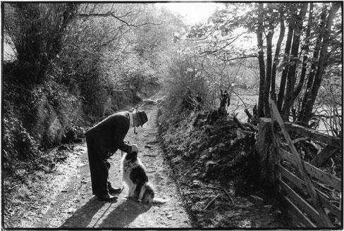 Archie Parkhouse and his dog Sally, Millhams, Dolton, Devon 1982