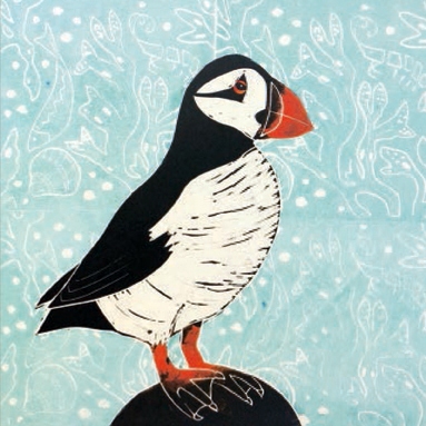 Puffin
