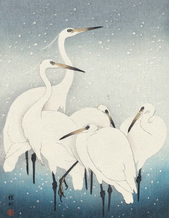 AGBI CHRISTMAS CARD PACK - Herons in Snow
