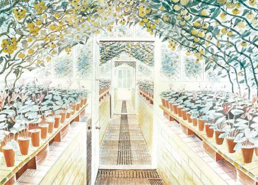 Greenhouse