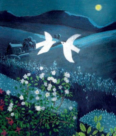 Summer Night