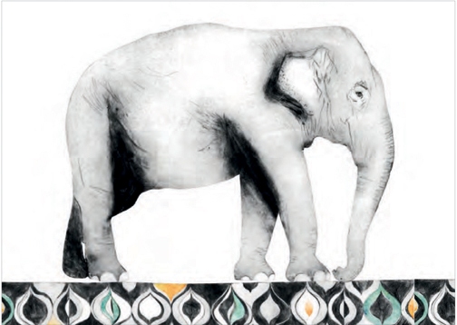 Indian Elephant