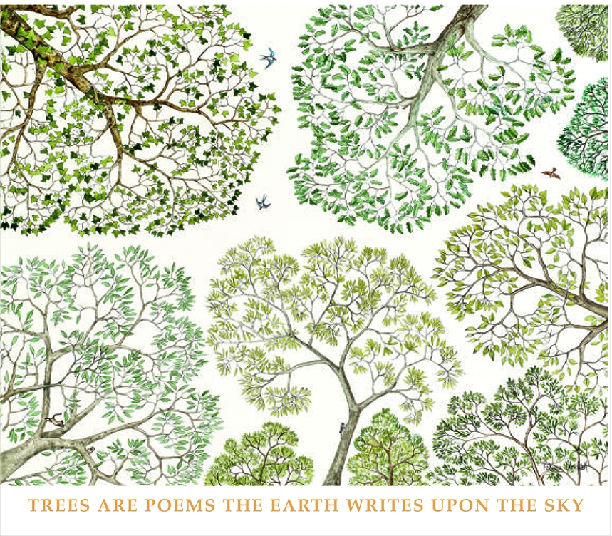Every Tree is a Poem 1 Every Tree is a Poem Every Tree is a Poem