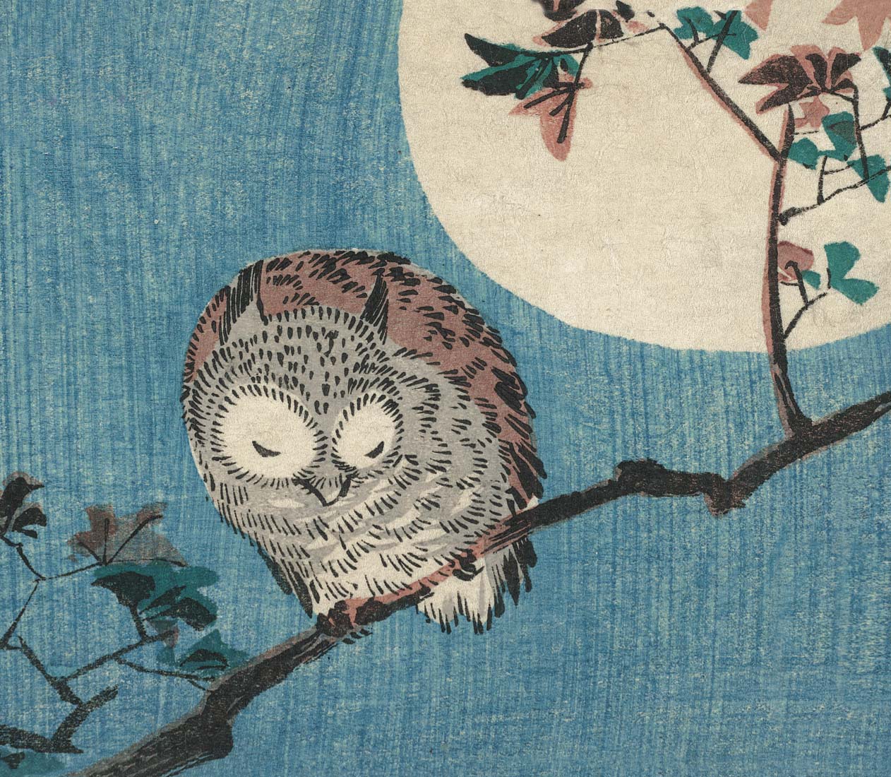 Small Horned Owl on Maple Branch under Full Moon 1 Small Horned Owl on Maple Branch under Full Moon Small Horned Owl on Maple Branch under Full Moon