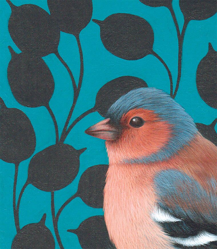 Chaffinch 1 Chaffinch Chaffinch