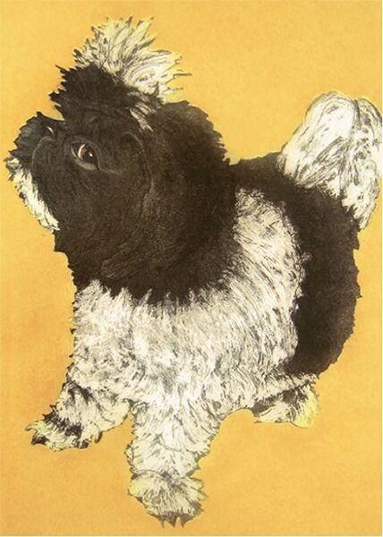 Make my Day, Punk 1 Make my Day, Punk Make my Day, Punk