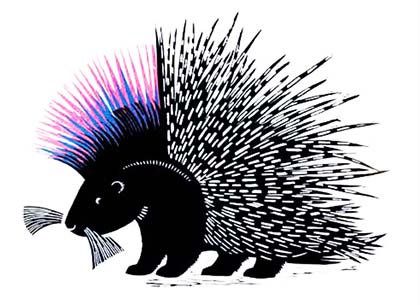 Punky Porcupine 1 Punky Porcupine Punky Porcupine