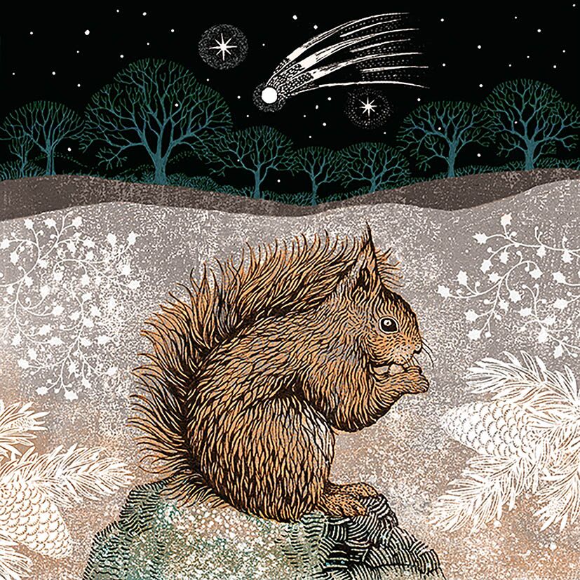 CPRE CHRISTMAS CARD 6 PACK - Wren and Moth with Mistletoe & Red Squirrel with Comet 2 CPRE CHRISTMAS CARD 6 PACK - Wren and Moth with Mistletoe & Red Squirrel with Comet CPRE CHRISTMAS CARD 6 PACK - Wren and Moth with Mistletoe & Red Squirrel with Comet - Image 2