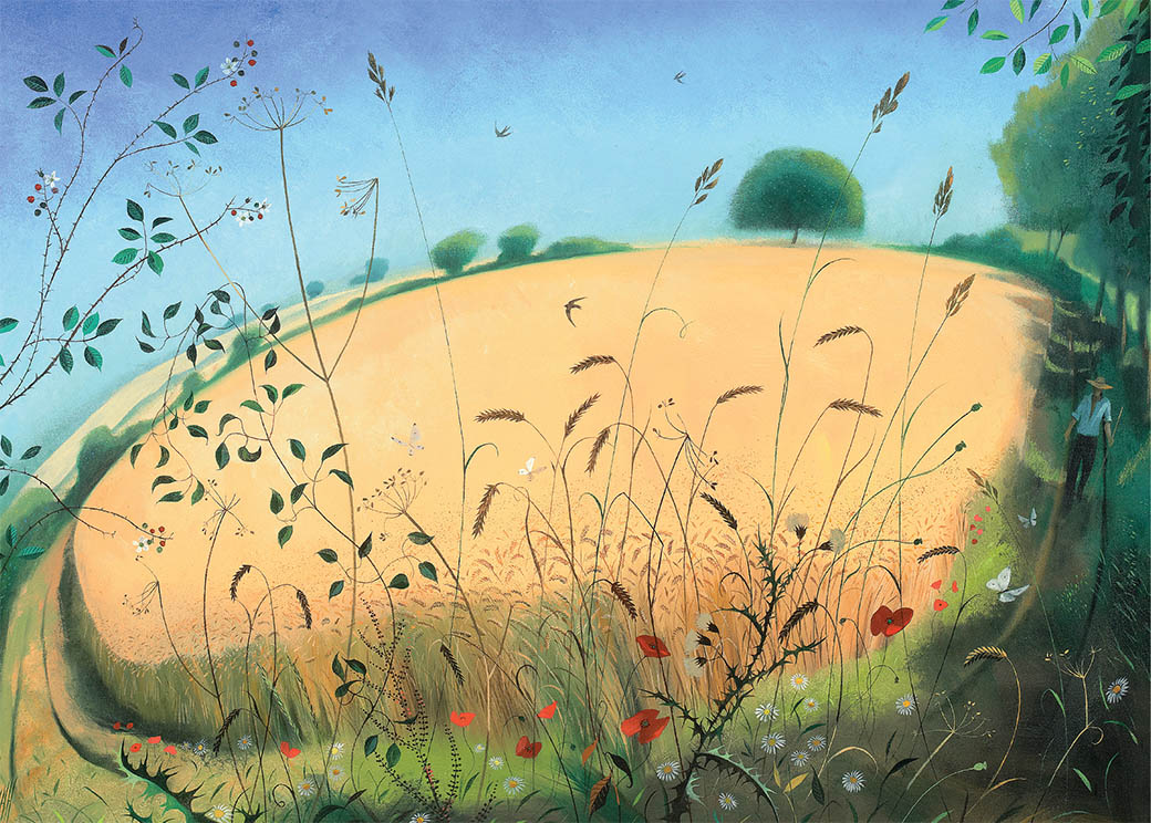The Edge of a Cornfield 1 The Edge of a Cornfield The Edge of a Cornfield