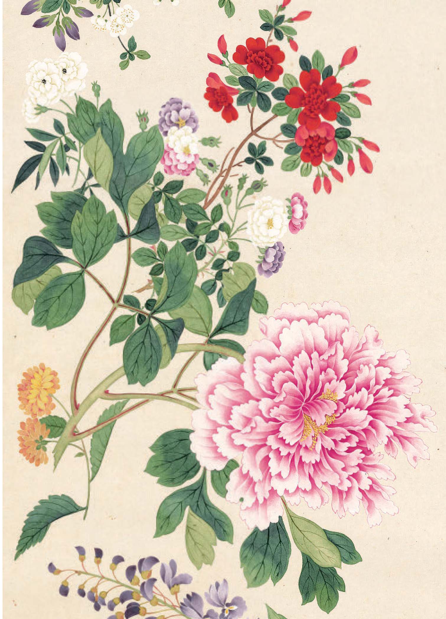 Profusion of Flowers 1 Profusion of Flowers Profusion of Flowers