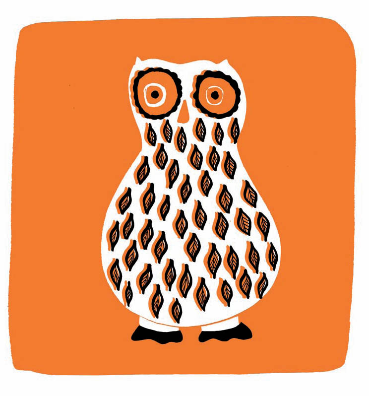 Owl 1 Owl Owl