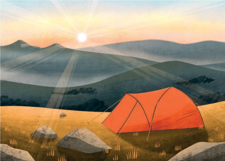 Dartmoor Camping