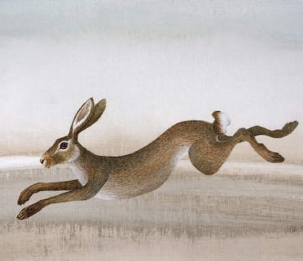 Leaping Hare