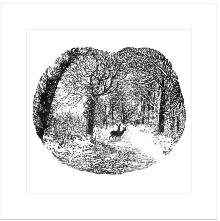 AGBI CHRISTMAS CARD PACK - Beyond the Clearing