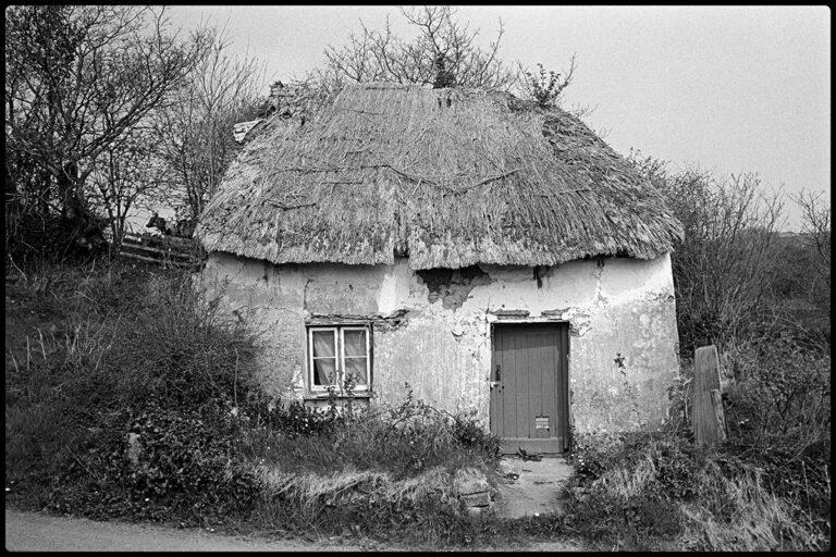 Ruined Cottage near Milton Damerel, 1974