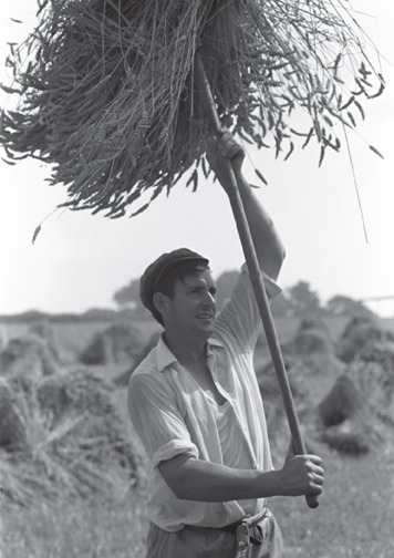 John Govier, Beaford