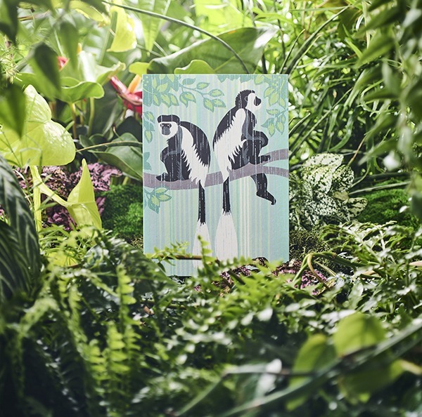 Waiting for the Rain to Stop