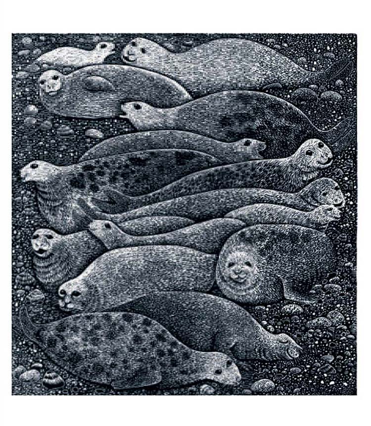 Seals
