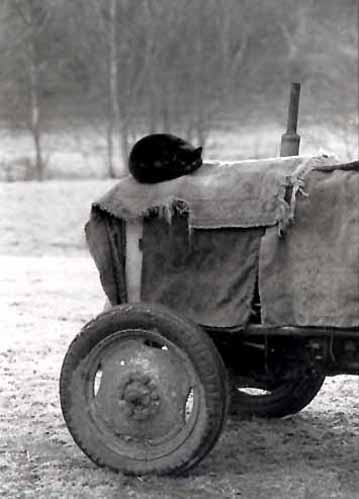 Brian Mortimore's Tractor