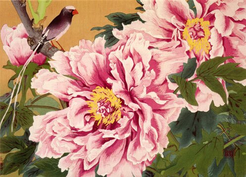 Peony and Long-tailed Finch, Late Spring