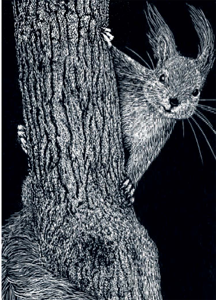 A Tale of 2 Reds (Detail)