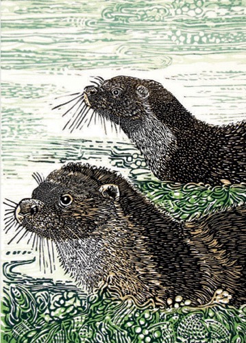 Mother and Cub in the Voe