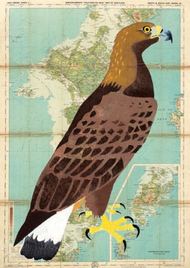 North Uist Eagle