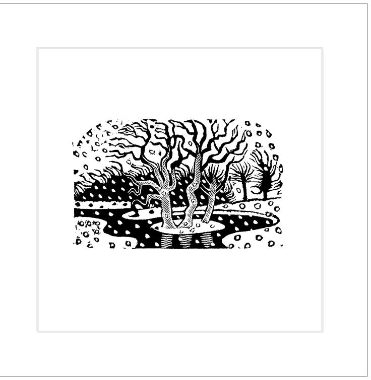 AGBI CHRISTMAS CARD PACK - Snow Scene