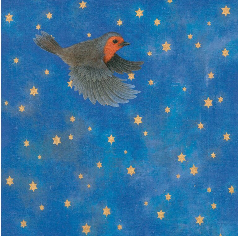 AGBI CHRISTMAS CARD PACK - Night Flight