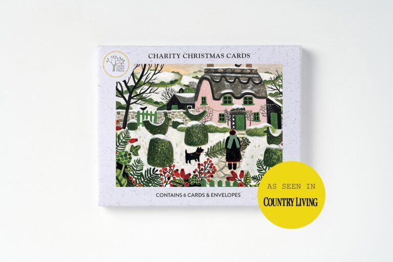 AGBI CHRISTMAS CARD PACK - Pink Cottage and Snowy Topiary