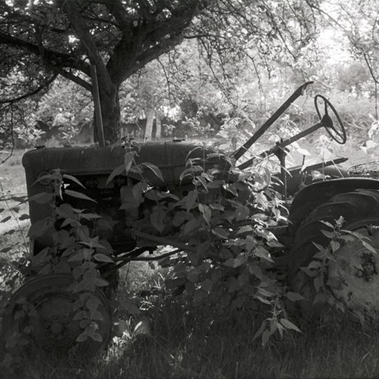 Tractor in Nettles