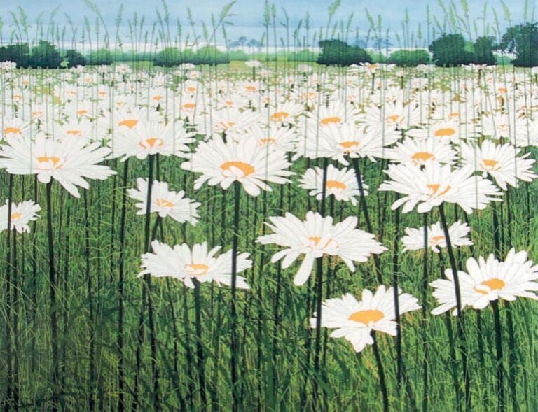 Daisy