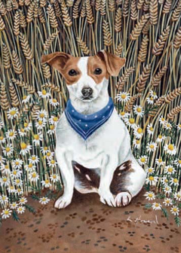 Little Jack