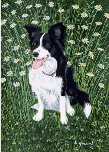Daisy in the Daisies