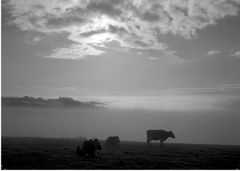 Early Morning, Dartmoor, 1985