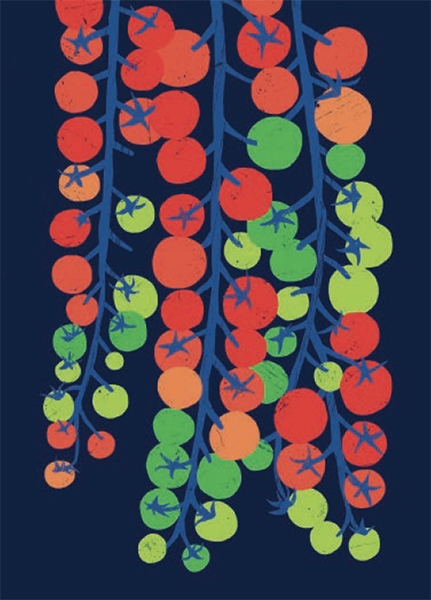 Rainbow Tomatoes