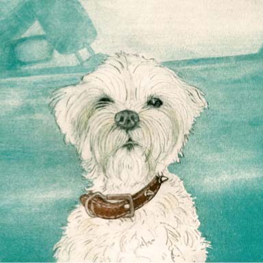 Puppy