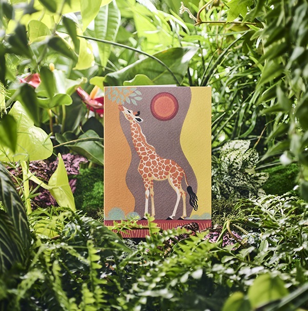 Sunset Giraffe