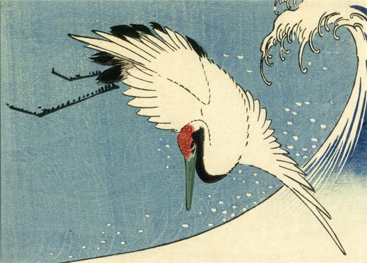 Crane Flying over Wave
