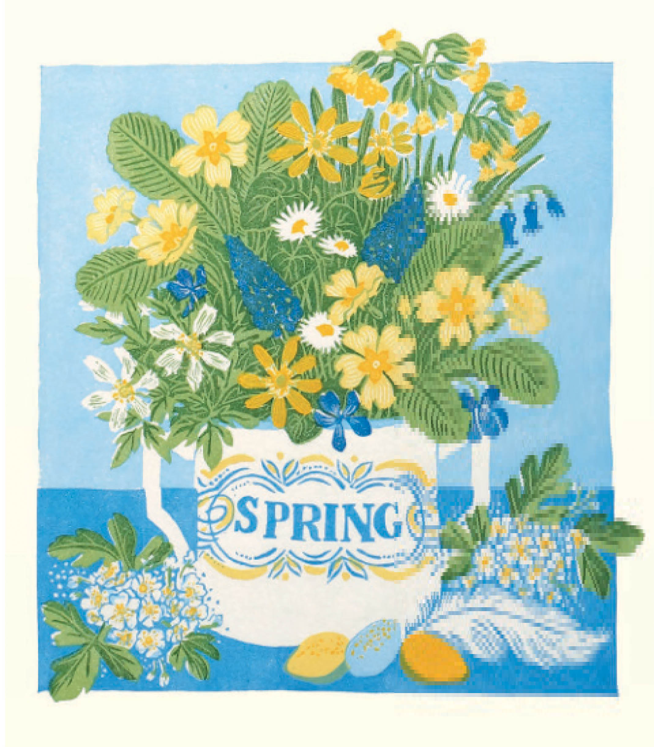 Spring 1 Spring Spring