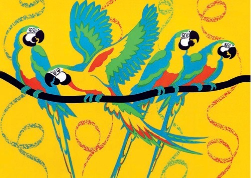 Macaw Carnival!