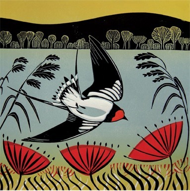 Swooping Swallow