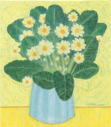 Antrim Primroses