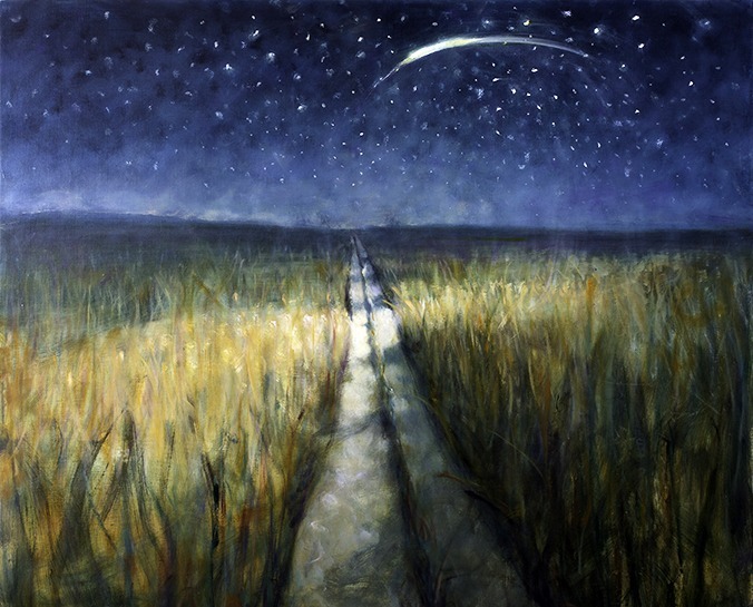Path through the Field at Night