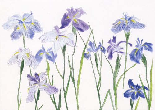 Irises