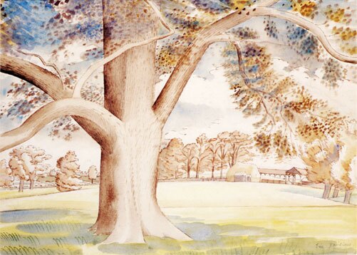 Field Elm, 1932