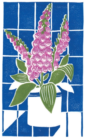 Foxgloves